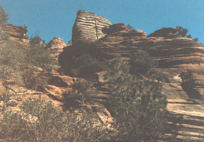 ../Images/083.Zion Canjon.jpg